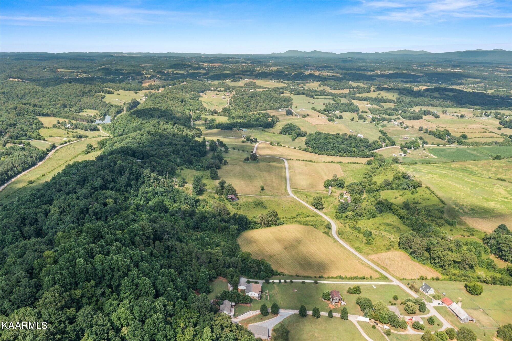 7249 Sinking Creek Road Greenback, TN 37742 - Photo 42 of 45 Gallery Image 42