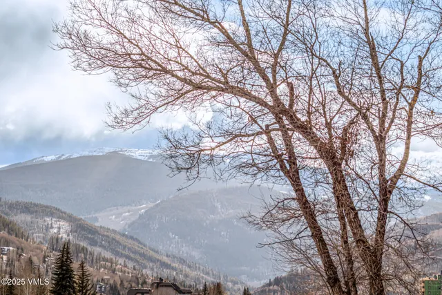 a view of mountain view with lots of trees