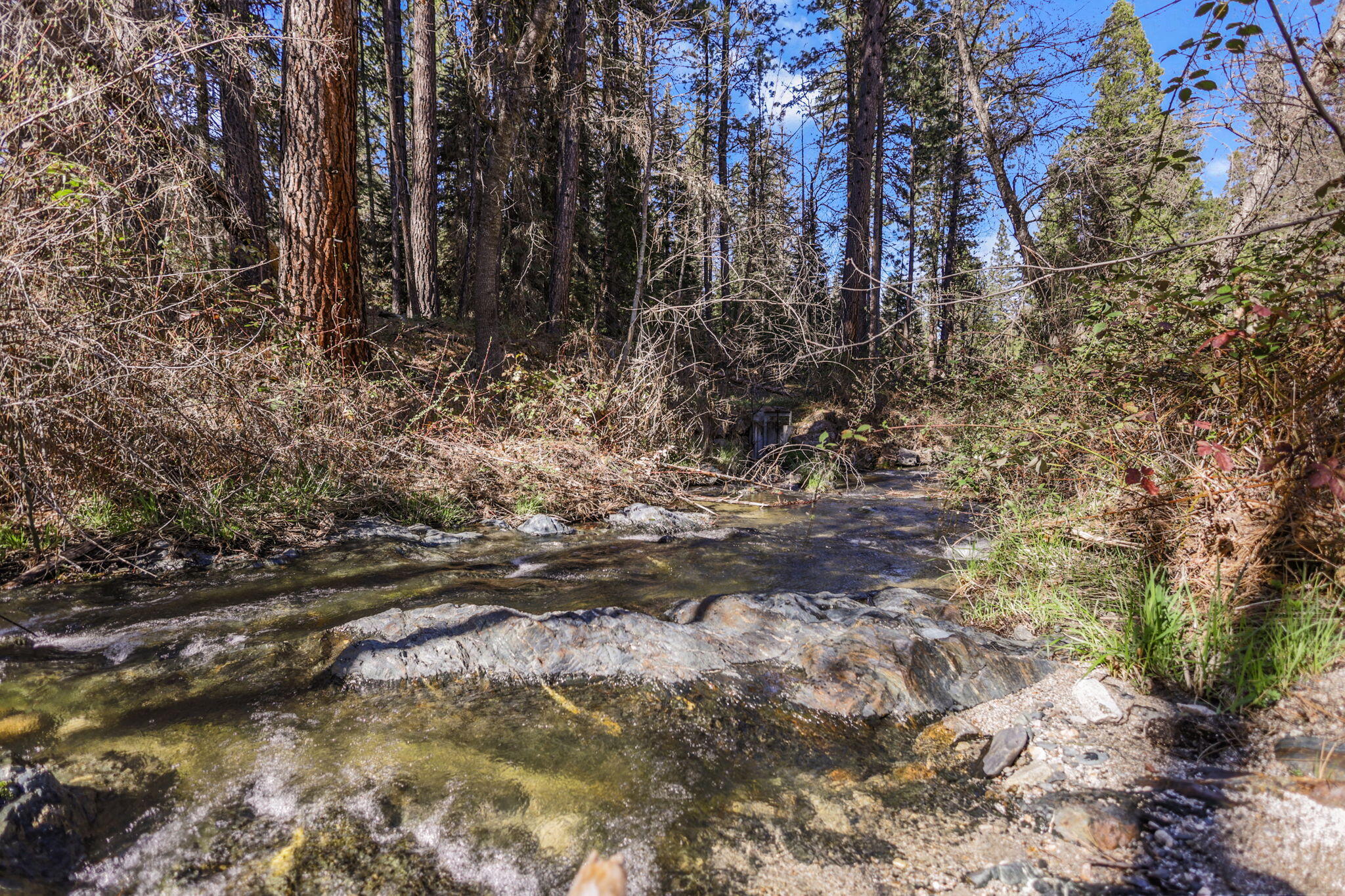 7530 Miners Creek Road Etna, CA 96027 - Photo 4 of 122 3-web-or-mls-8Q0A2765_1