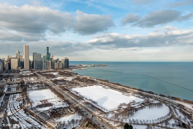 1201 South Prairie Avenue, Unit 4501 Chicago, IL 60605 - Photo 28 of 35