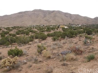 0 Chickawill Road Apple Valley, CA 00000 - Photo 1 of 1 Gallery Image 1