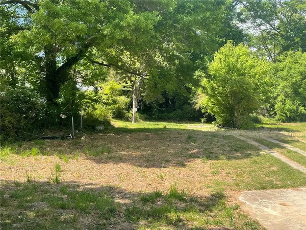 a view of a yard with large trees