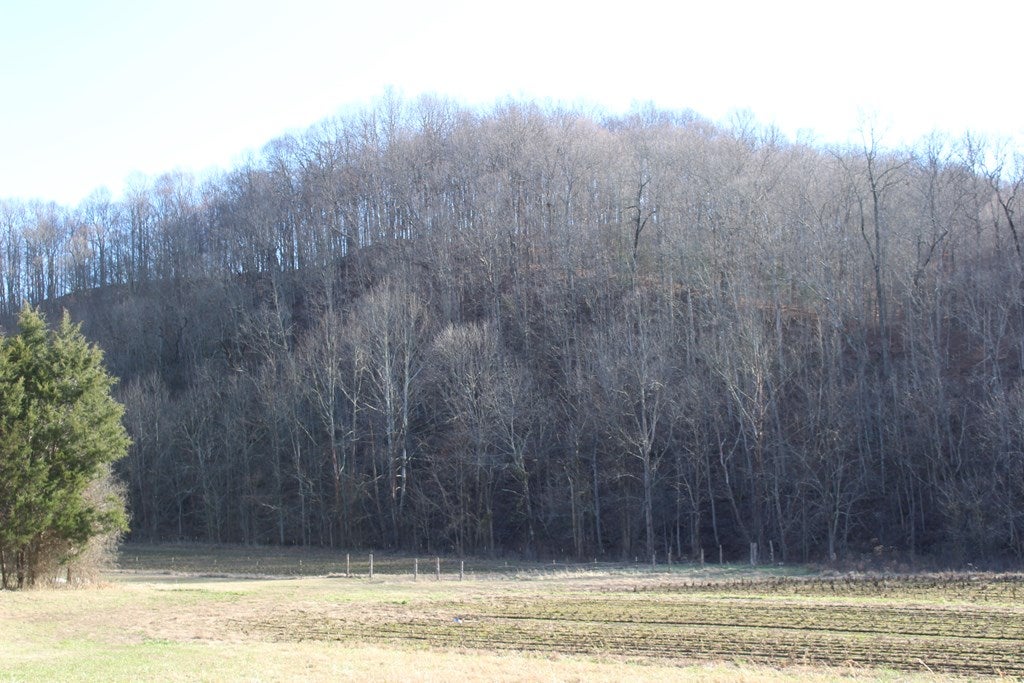 867 Breeding Road Edmonton, KY 42129 - Photo 2 of 2 Gallery Image 2