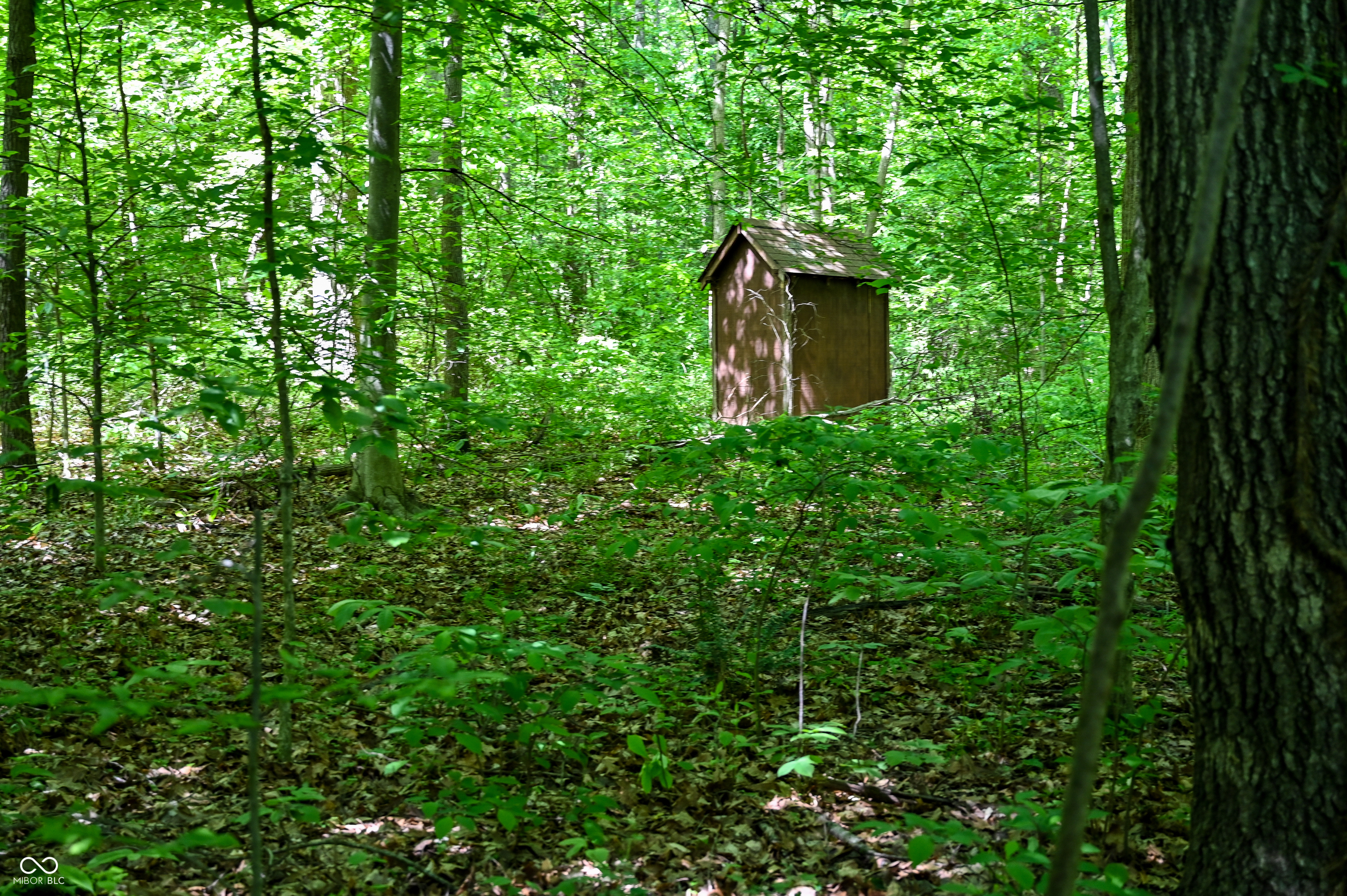 0 Mangus Road Poland, IN 47868 - Photo 29 of 46