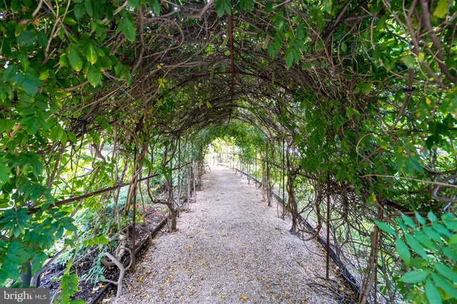 a room with furniture and large windows