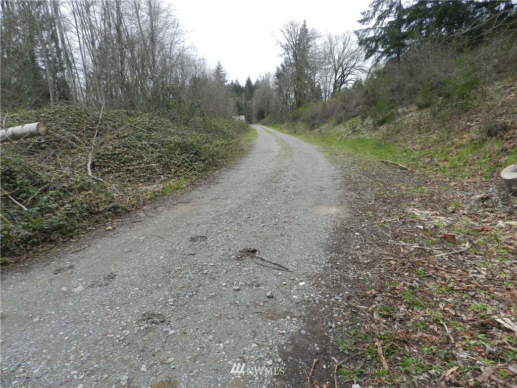 0 Maple Road Southeast Port Orchard, WA 98367 - Photo 1 of 8 Gallery Image 1