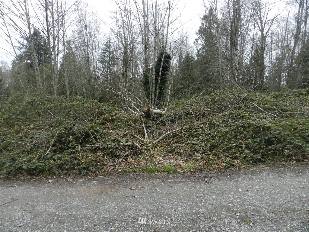 0 Maple Road Southeast Port Orchard, WA 98367 - Photo 2 of 8 Gallery Image 2