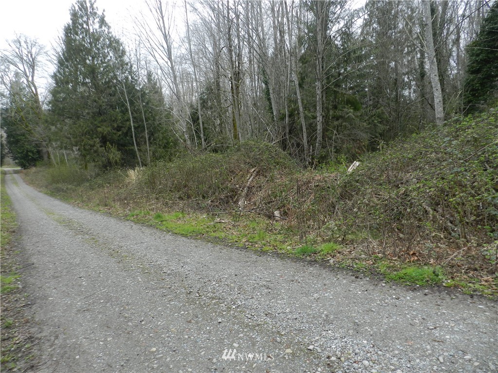 0 Maple Road Southeast Port Orchard, WA 98367 - Photo 3 of 8 Gallery Image 3