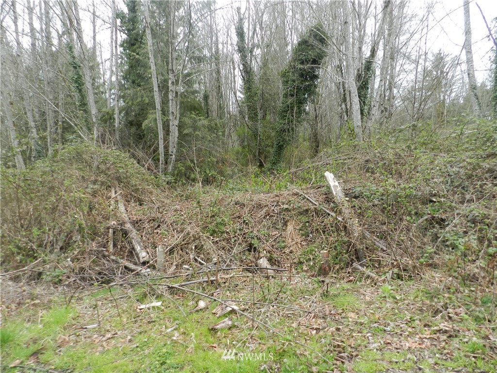 0 Maple Road Southeast Port Orchard, WA 98367 - Photo 4 of 8 Gallery Image 4