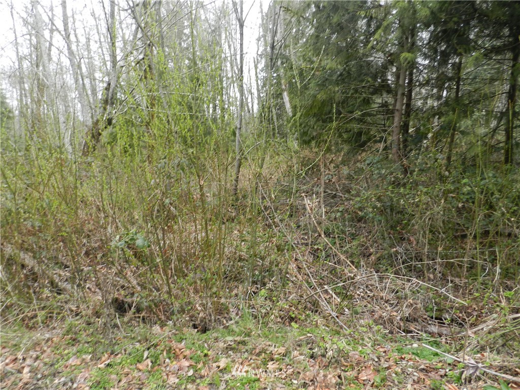 0 Maple Road Southeast Port Orchard, WA 98367 - Photo 7 of 8 Gallery Image 7