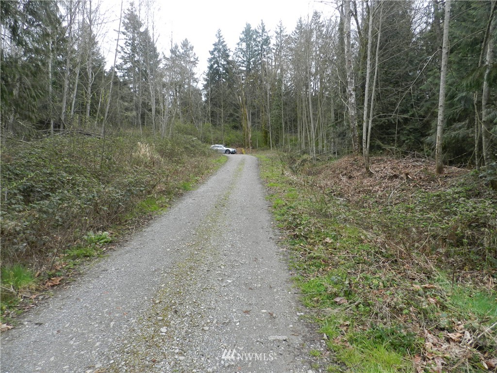 0 Maple Road Southeast Port Orchard, WA 98367 - Photo 8 of 8 Gallery Image 8