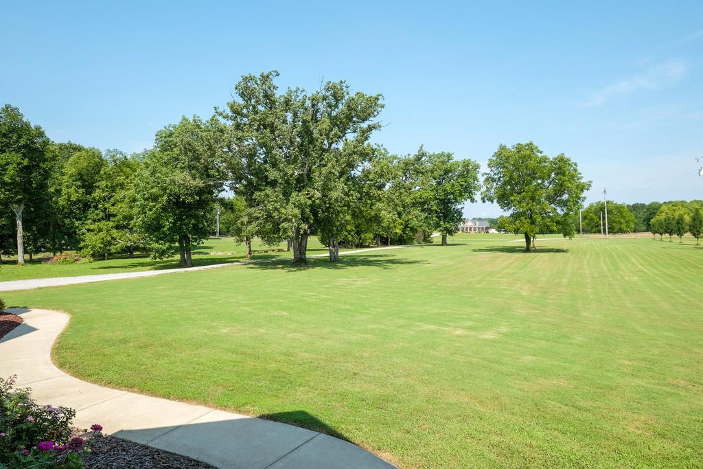 4121 Franklin Road Lebanon, TN 37090 - Photo 3 of 26 a view of a big yard with a large trees