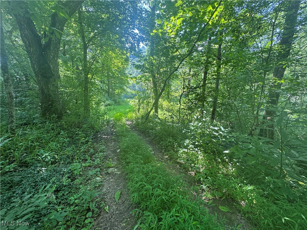 Lot 2 County Road New Matamoras, OH 45767 - Photo 15 of 18 Gallery Image 15