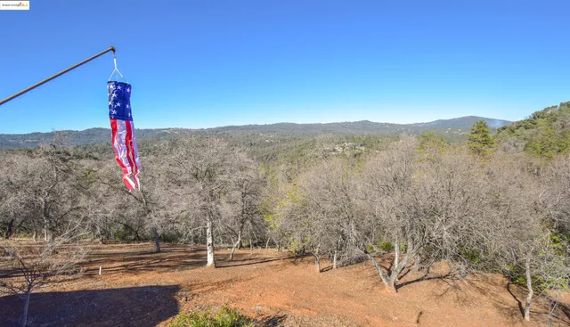 a view of a forest with a mountain