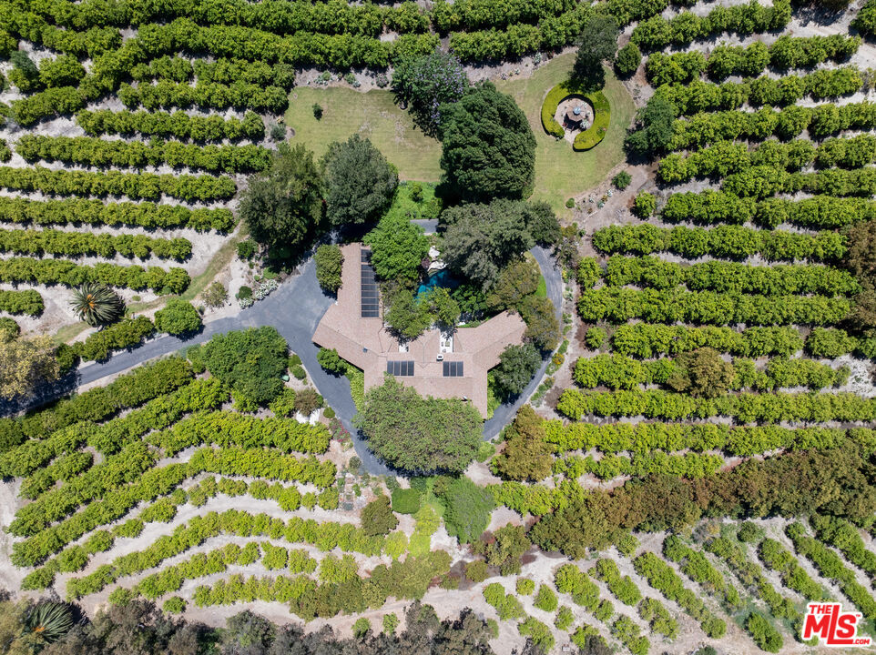 15454 South Mountain Road Santa Paula, CA 93060 - Photo 33 of 65