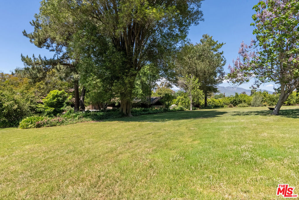 15454 South Mountain Road Santa Paula, CA 93060 - Photo 40 of 65 a view of a trees