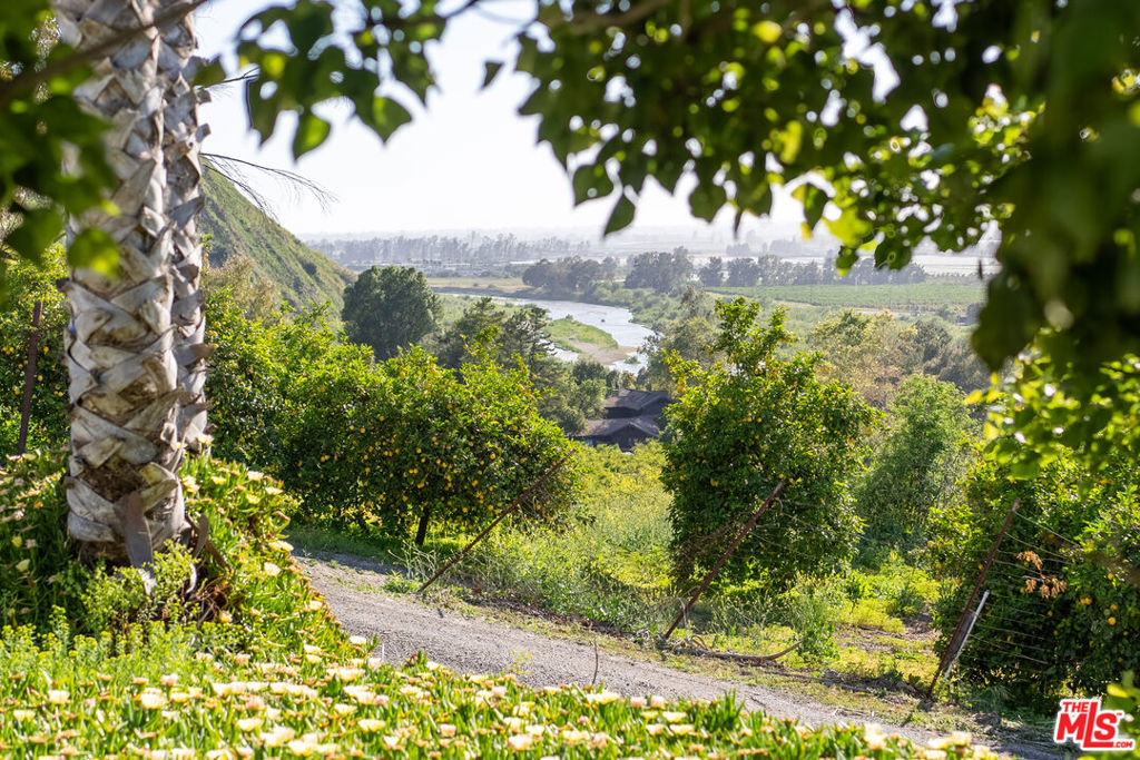 15454 South Mountain Road Santa Paula, CA 93060 - Photo 56 of 65