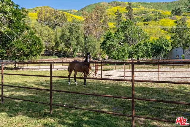 $10,000,000 | 15454 South Mountain Road, Santa Paula, CA 93060