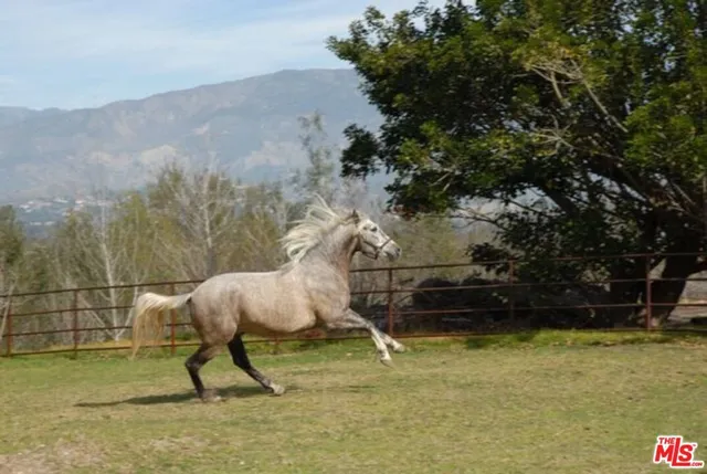 $10,000,000 | 15454 South Mountain Road, Santa Paula, CA 93060