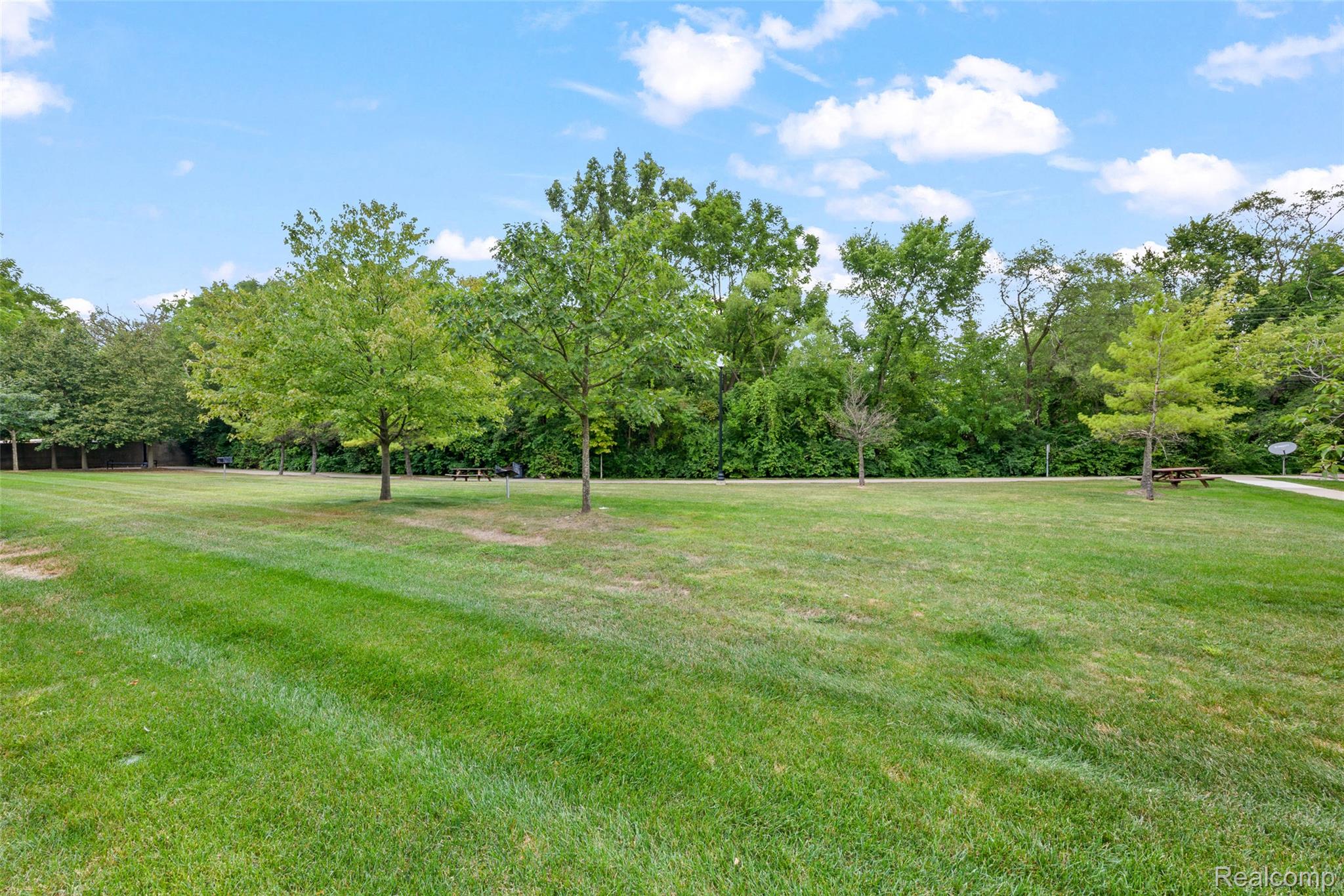 22730 Goddard Road Taylor, MI 48180 - Photo 7 of 34 View of green lawn featuring view of scattered trees