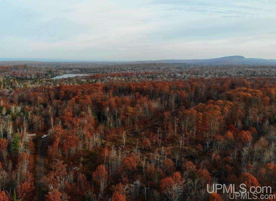 Tbd Tbd Off Us41 Mohawk, MI 49950 - Photo 6 of 22