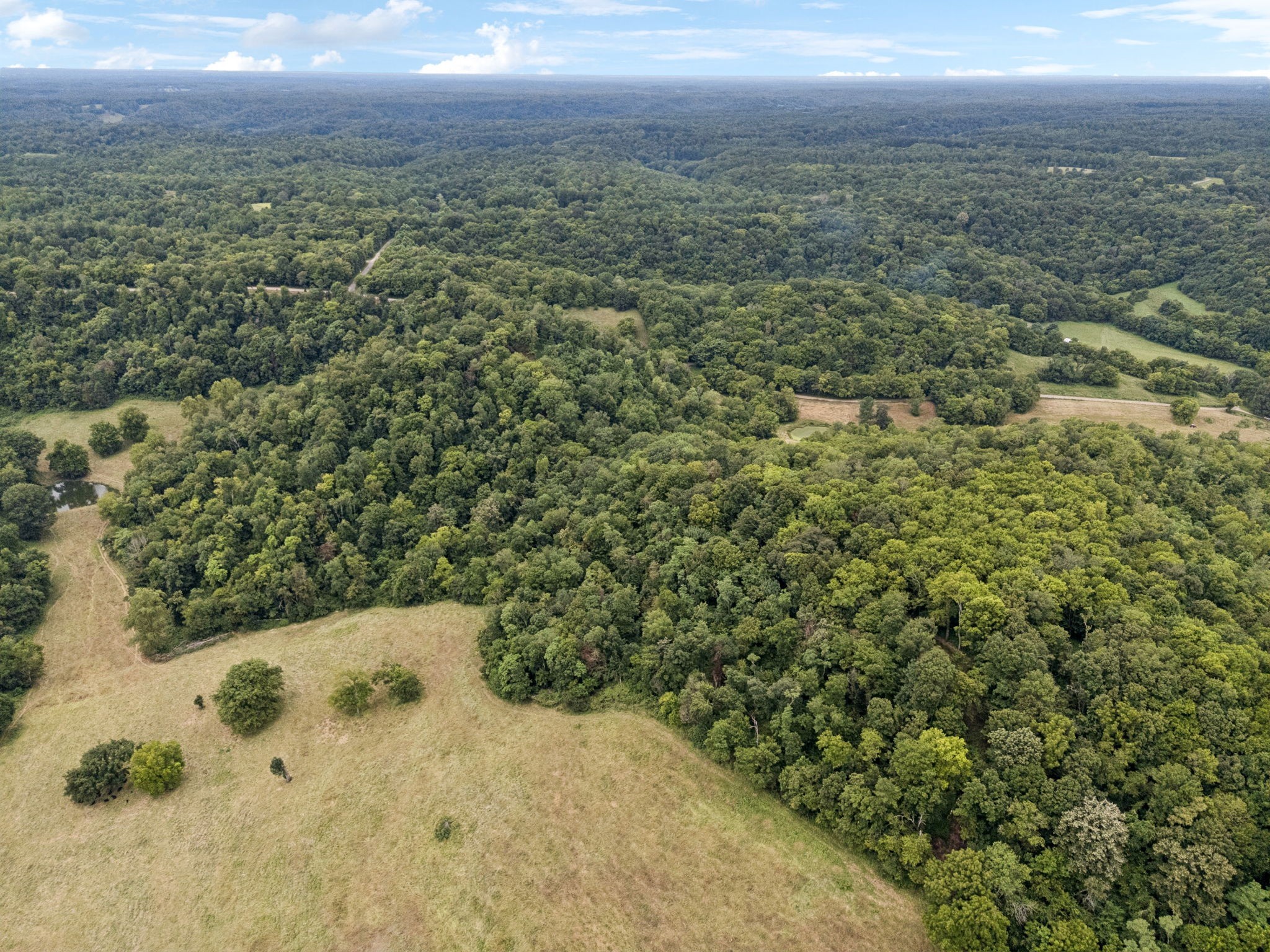 8 Crooked Hill Road Pulaski, TN 38478 - Photo 10 of 26 a view of a yard