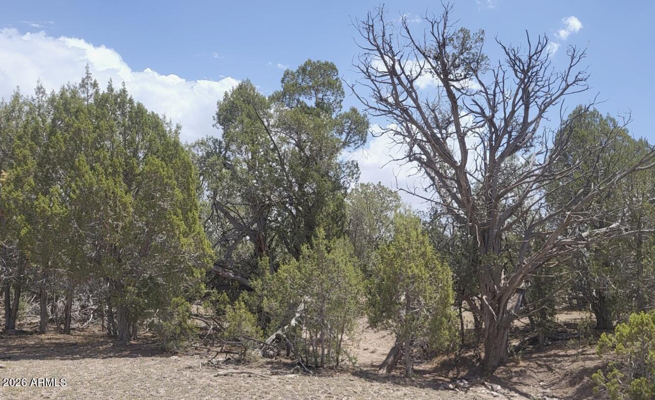 67 Ranch Road, Unit 67 Williams, AZ 86046 - Photo 8 of 19 0b2dd29a-e296-45e3-bfc5-48f98033a674