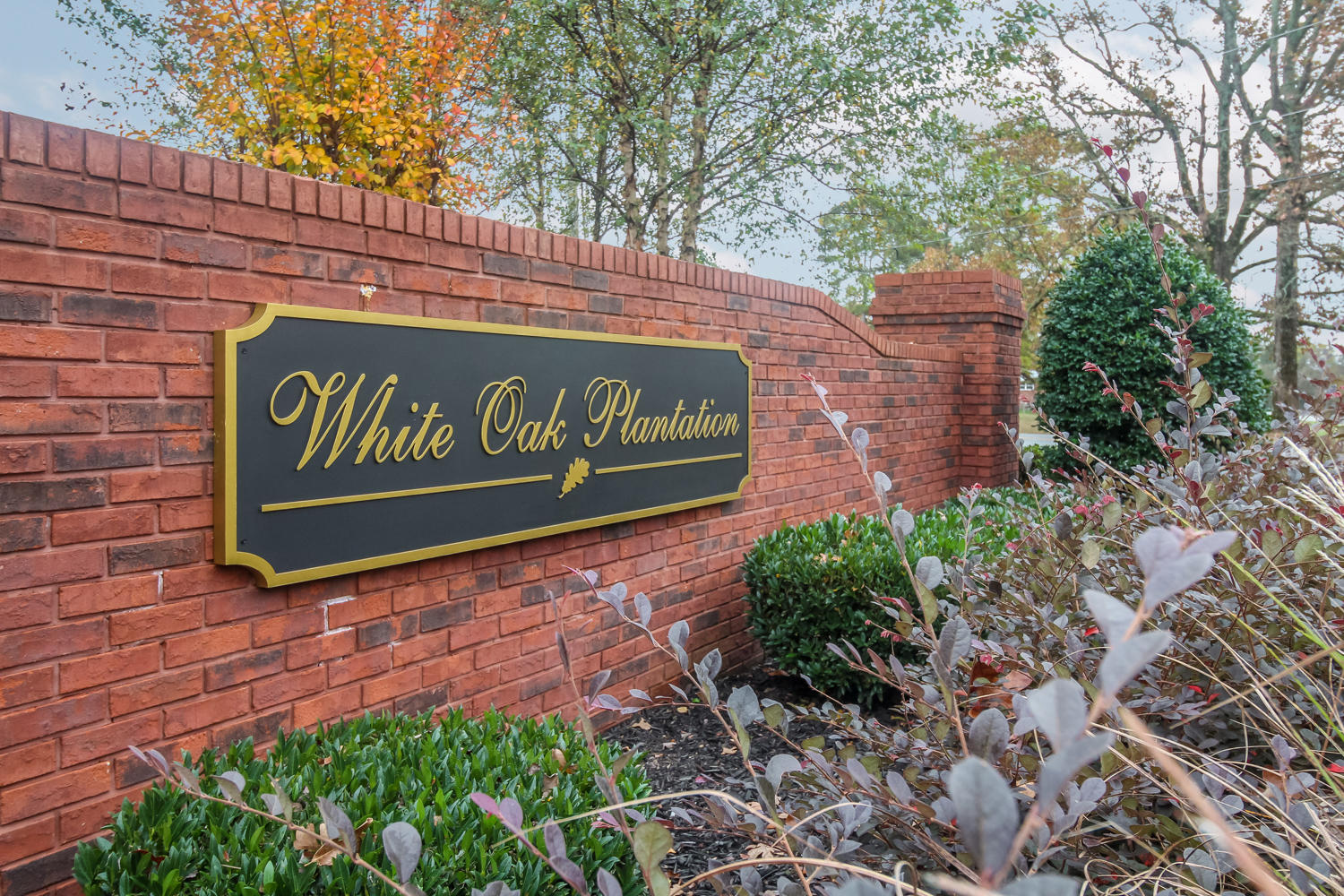 344 Live Oak Road Ringgold, GA 30736 - Photo 2 of 34 White_Oak_Plantation_001