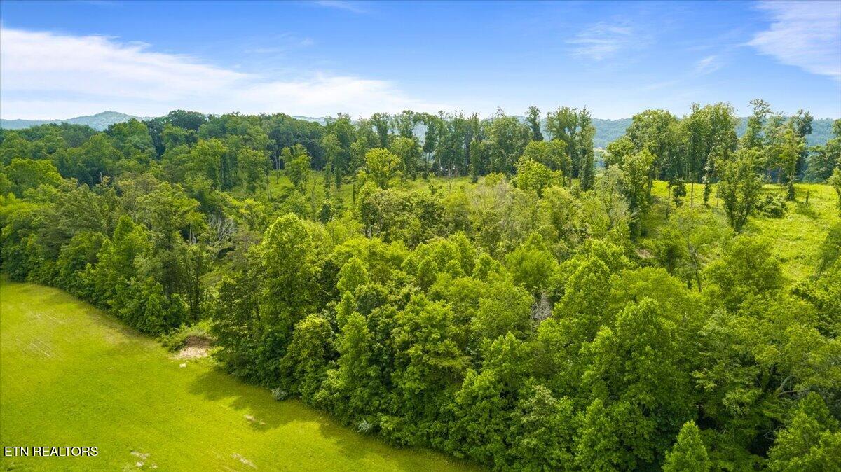 1 Mill Creek Road Andersonville, TN 37705 - Photo 25 of 26 10-Mill Creek Rd