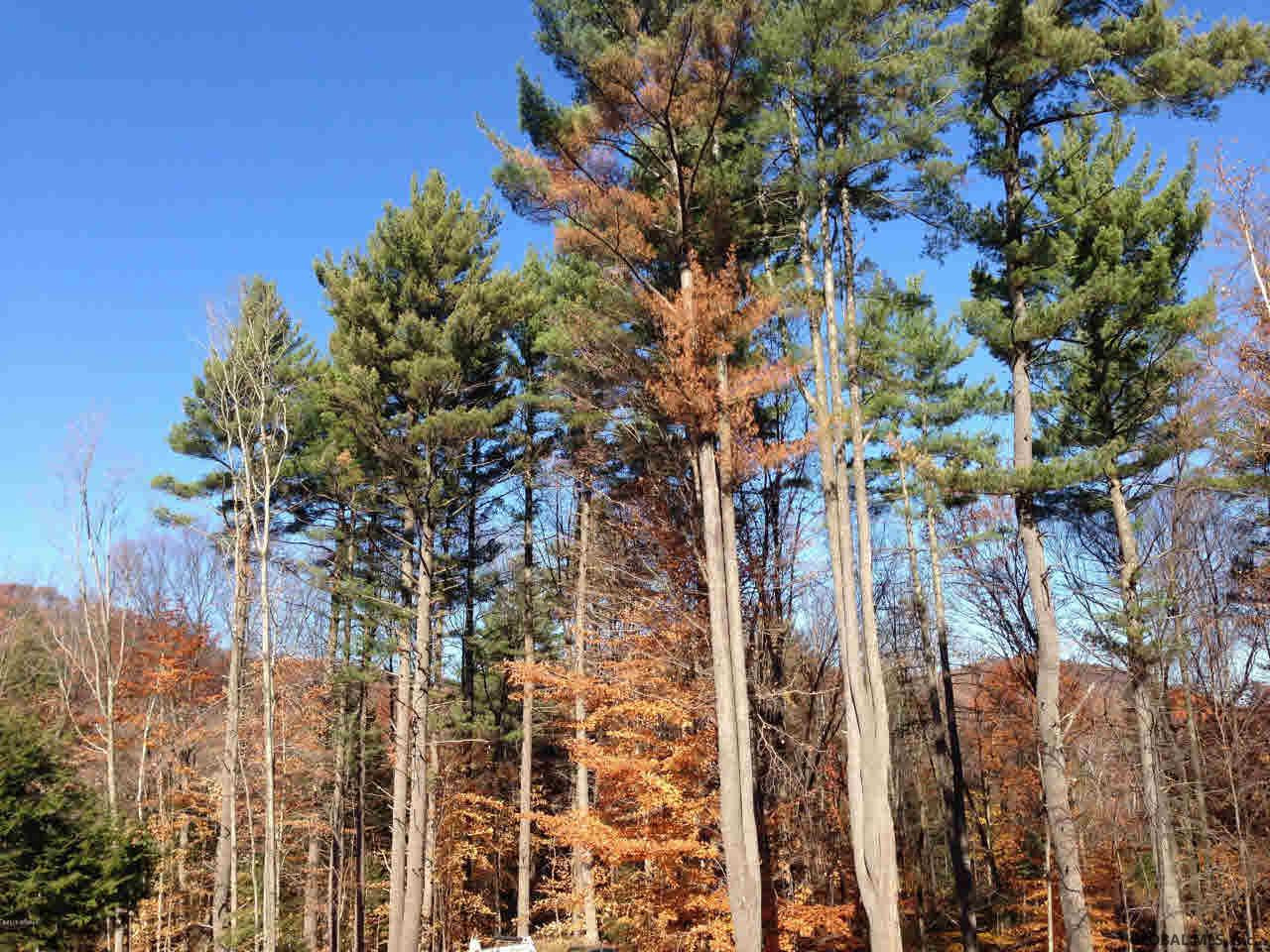 46 Tuthill Road Queensbury, NY 12804 - Photo 26 of 27 Photo 26