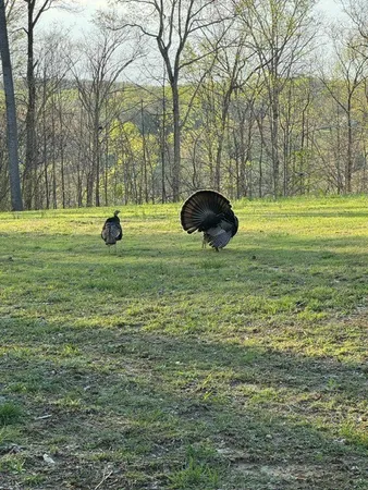 a view of a white house with a big yard and potted plants