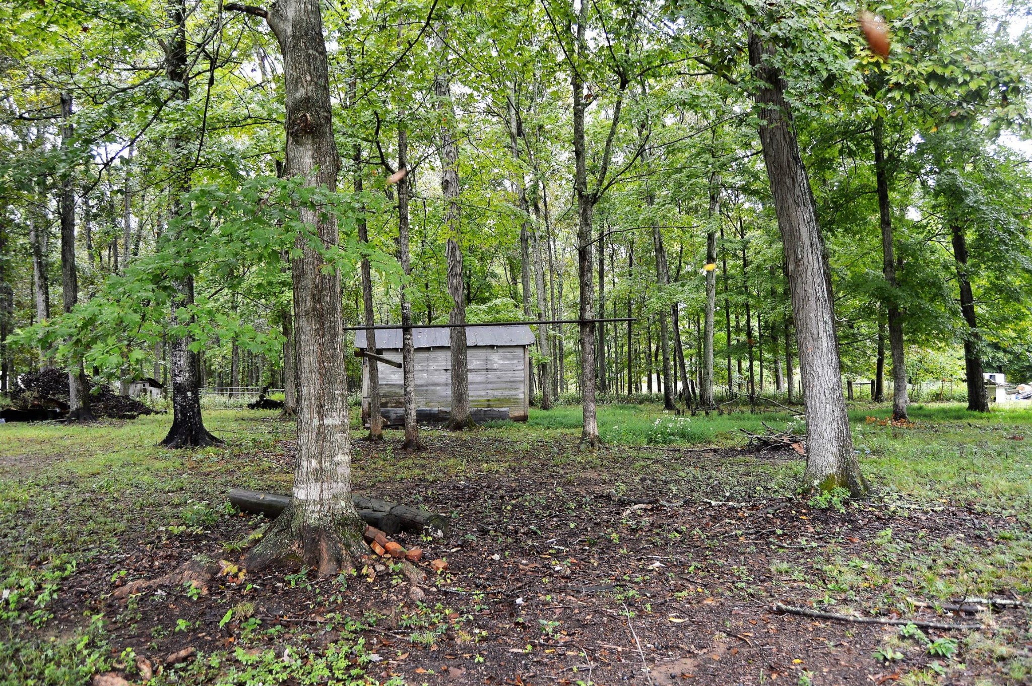 648 Belfast Farmington Road Belfast, TN 37019 - Photo 11 of 38 Gallery Image 11
