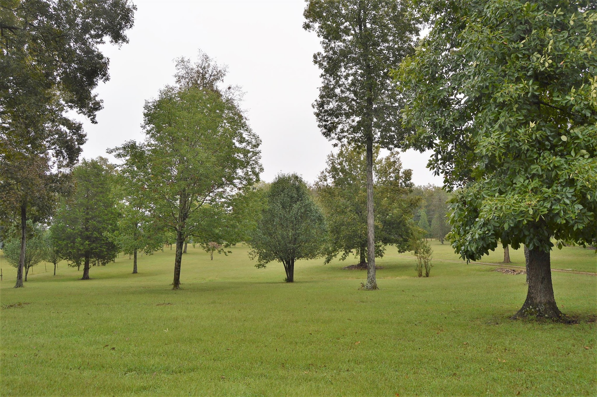 648 Belfast Farmington Road Belfast, TN 37019 - Photo 13 of 38 Gallery Image 13