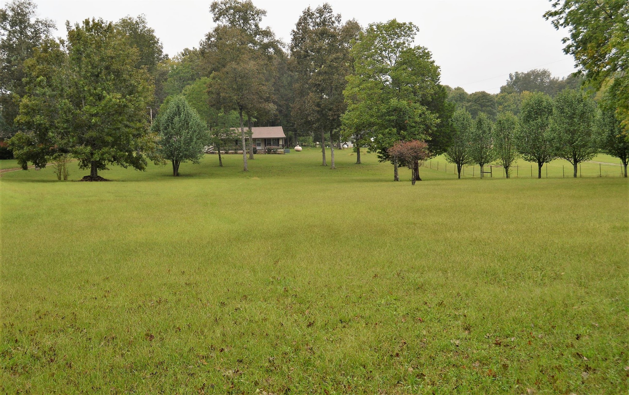 648 Belfast Farmington Road Belfast, TN 37019 - Photo 3 of 38 Gallery Image 3