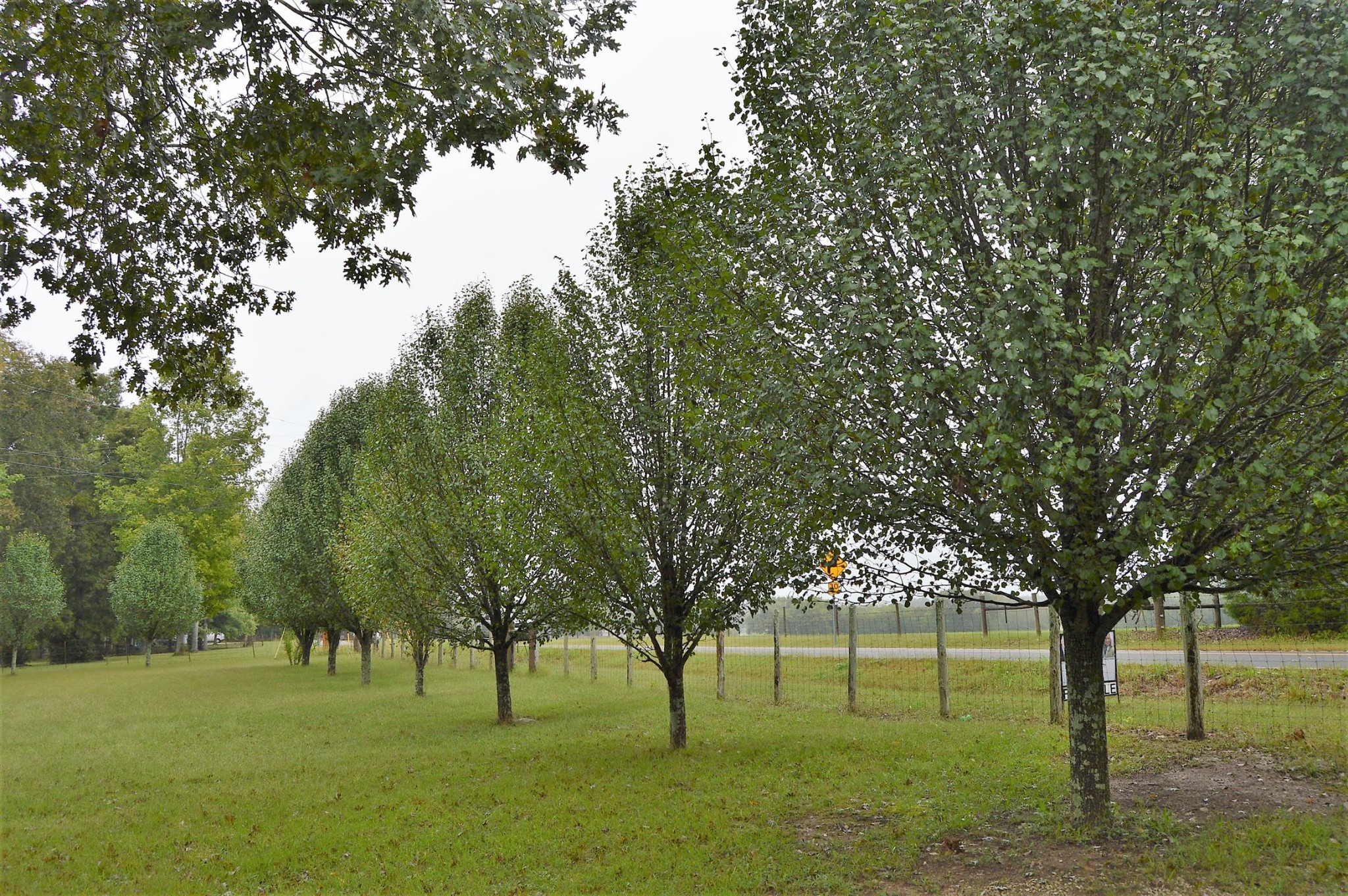 648 Belfast Farmington Road Belfast, TN 37019 - Photo 4 of 38 Gallery Image 4
