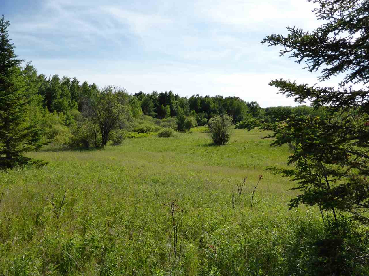 12.5-ac County Rd DB Mosinee, WI 54455 - Photo 1 of 1