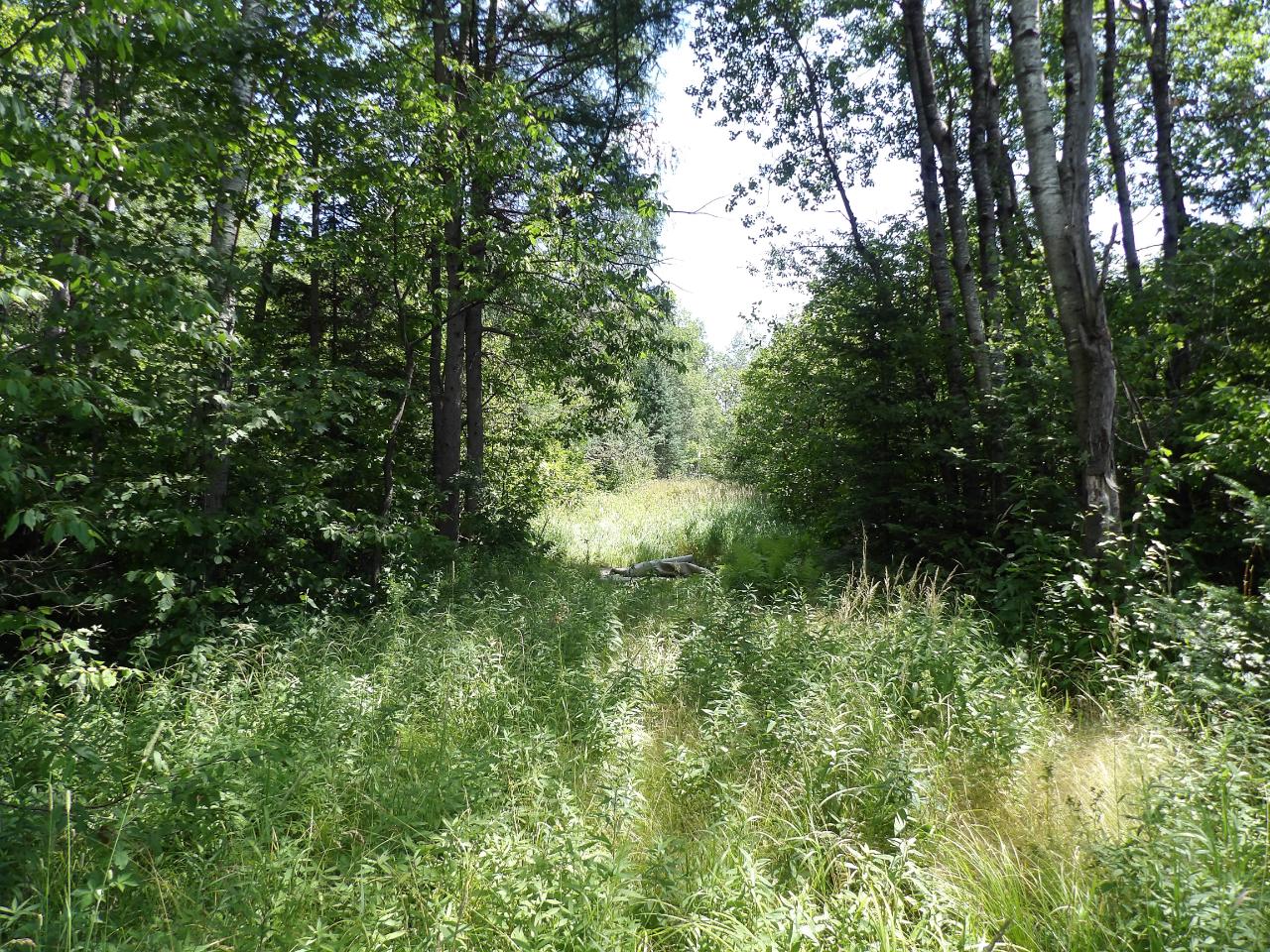 N6435 County Line Road Gleason, WI 54435 - Photo 8 of 20 Gallery Image 8