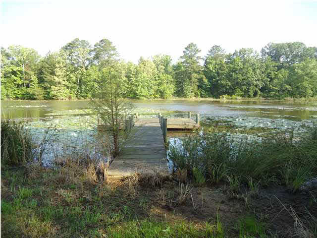 1 Davis Crossing Road Canton, MS 39046 - Photo 2 of 11 Photo 2