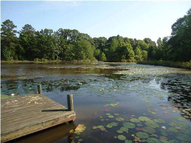 1 Davis Crossing Road Canton, MS 39046 - Photo 3 of 11 Photo 3