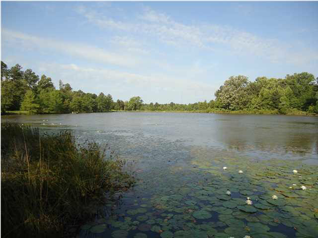 1 Davis Crossing Road Canton, MS 39046 - Photo 4 of 11 Photo 4
