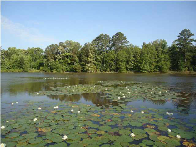 1 Davis Crossing Road Canton, MS 39046 - Photo 5 of 11 Photo 5