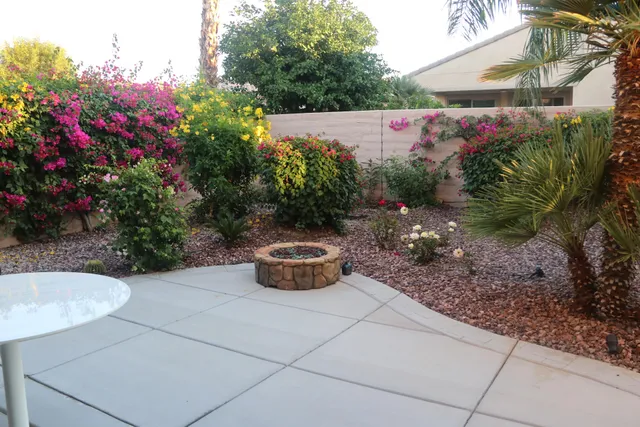 a view of a garden with plants