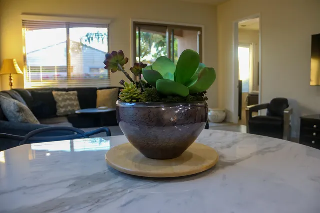 a view of a living room with furniture and a potted plant