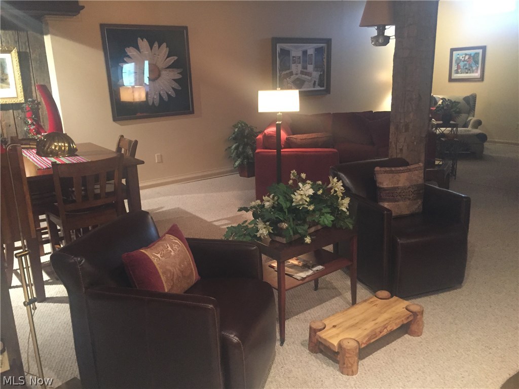 625 Warren Chapel Road Fleming, OH 45729 - Photo 20 of 35 Family room lower level