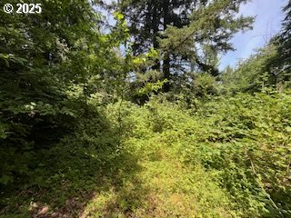 33145 Southeast Compton Road Boring, OR 97009 - Photo 5 of 17 a view of a tree