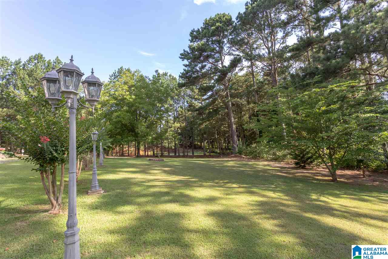 950 Back Bone Road Blountsville, AL 35031 - Photo 40 of 40
