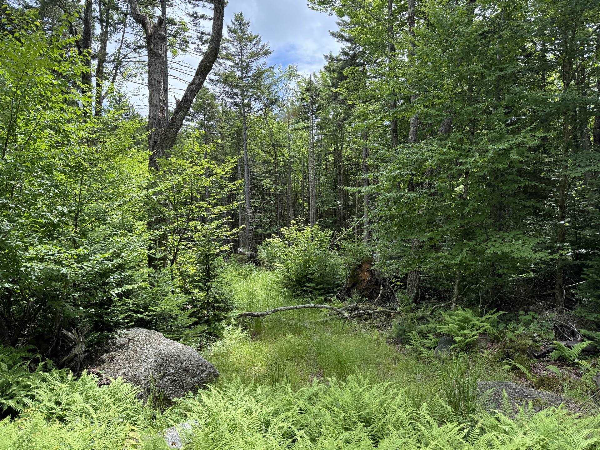 14-74 Grant Road Washington, NH 03280 - Photo 3 of 4