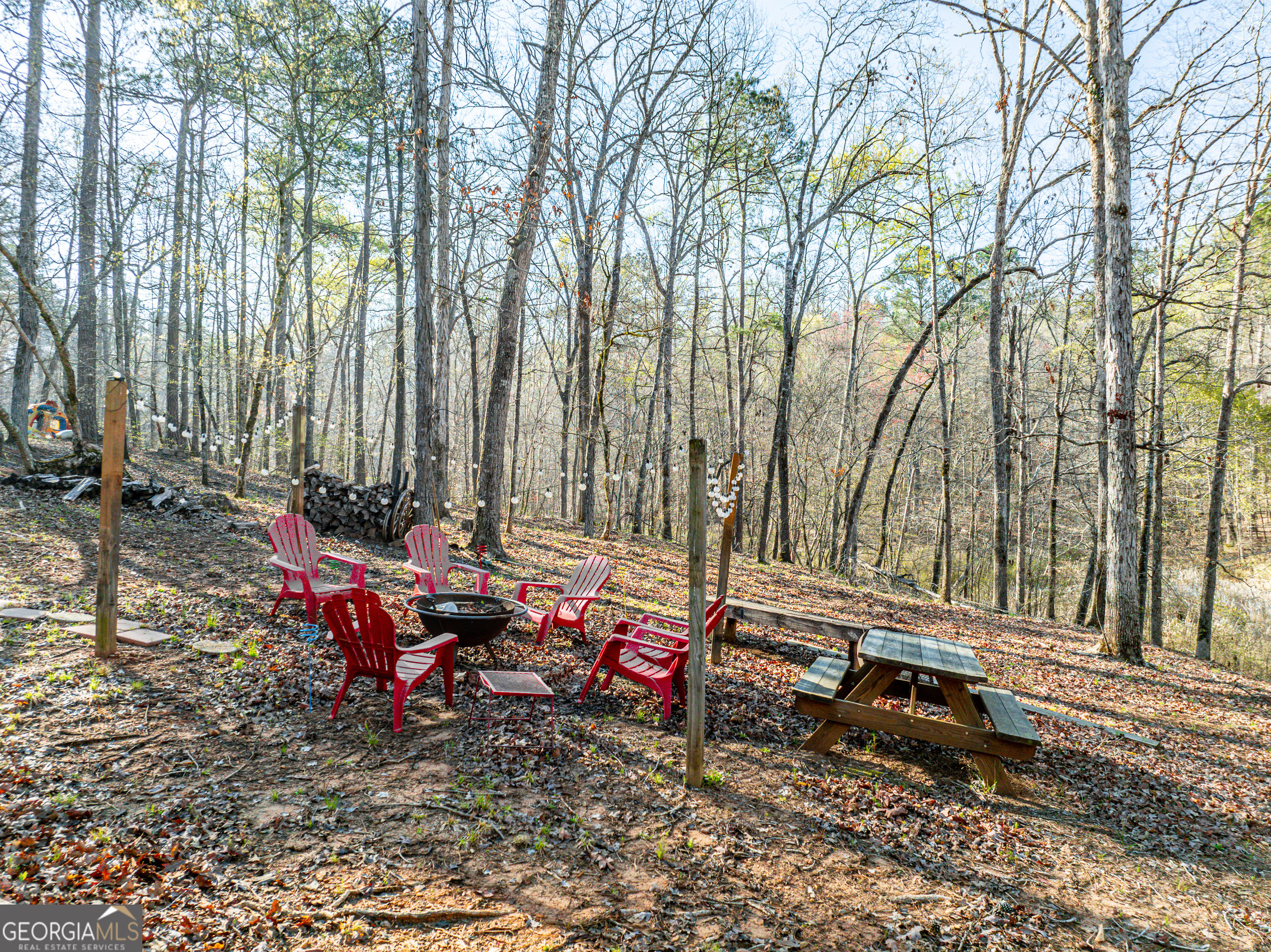 349 Susan Harper Road Sparta, GA 31087 - Photo 5 of 51