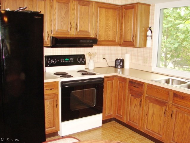 32 Boulder Ridge Place Painesville, OH 44077 - Photo 8 of 33 Gallery Image 8