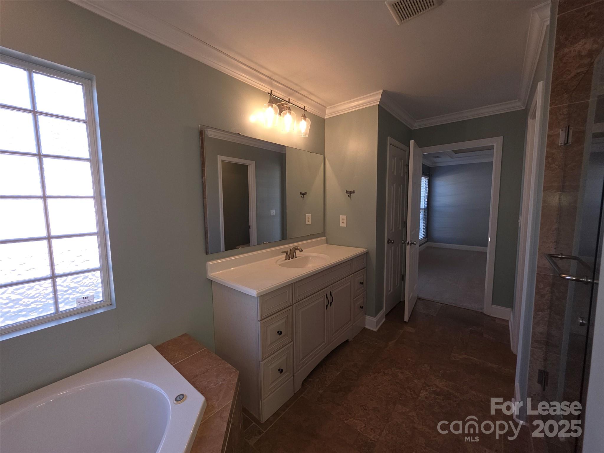 1682 Lane Road Mount Holly, NC 28120 - Photo 21 of 32 a bathroom with a sink a mirror and a bathtub